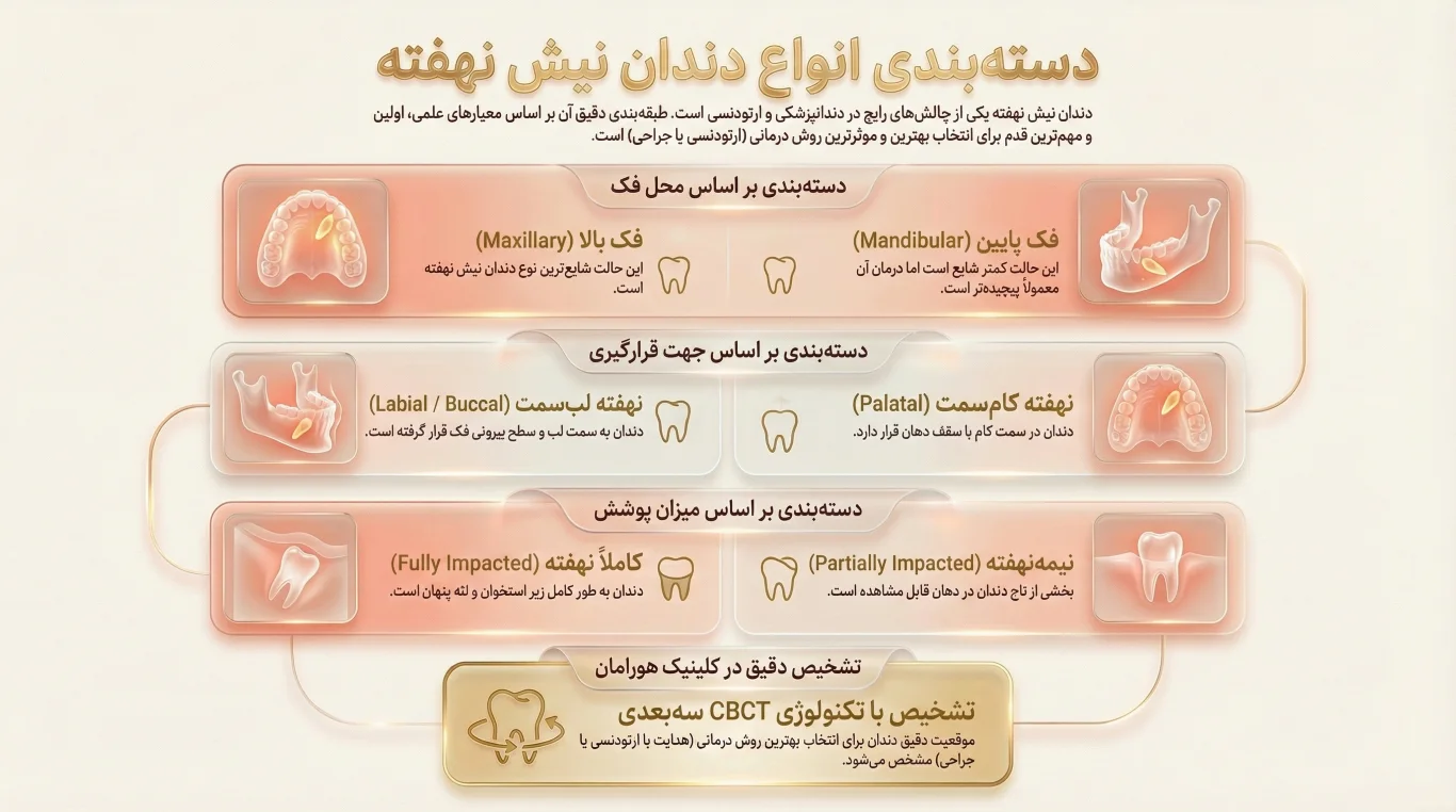 دندان نیش نهفته در هورامان؛ وقتی یک دندان کوچک، تأثیر بزرگی روی لبخند و فک شما میگذارد 1 انواع دندان نیش نهفته